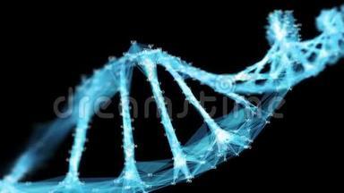 数字多边形丛DNA分子随机数环α通道